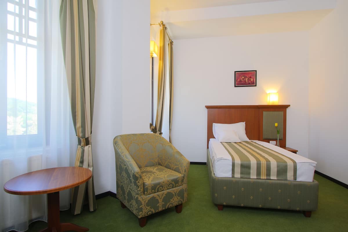 Business Single Room | Minibar, in-room safe, rollaway beds, free WiFi