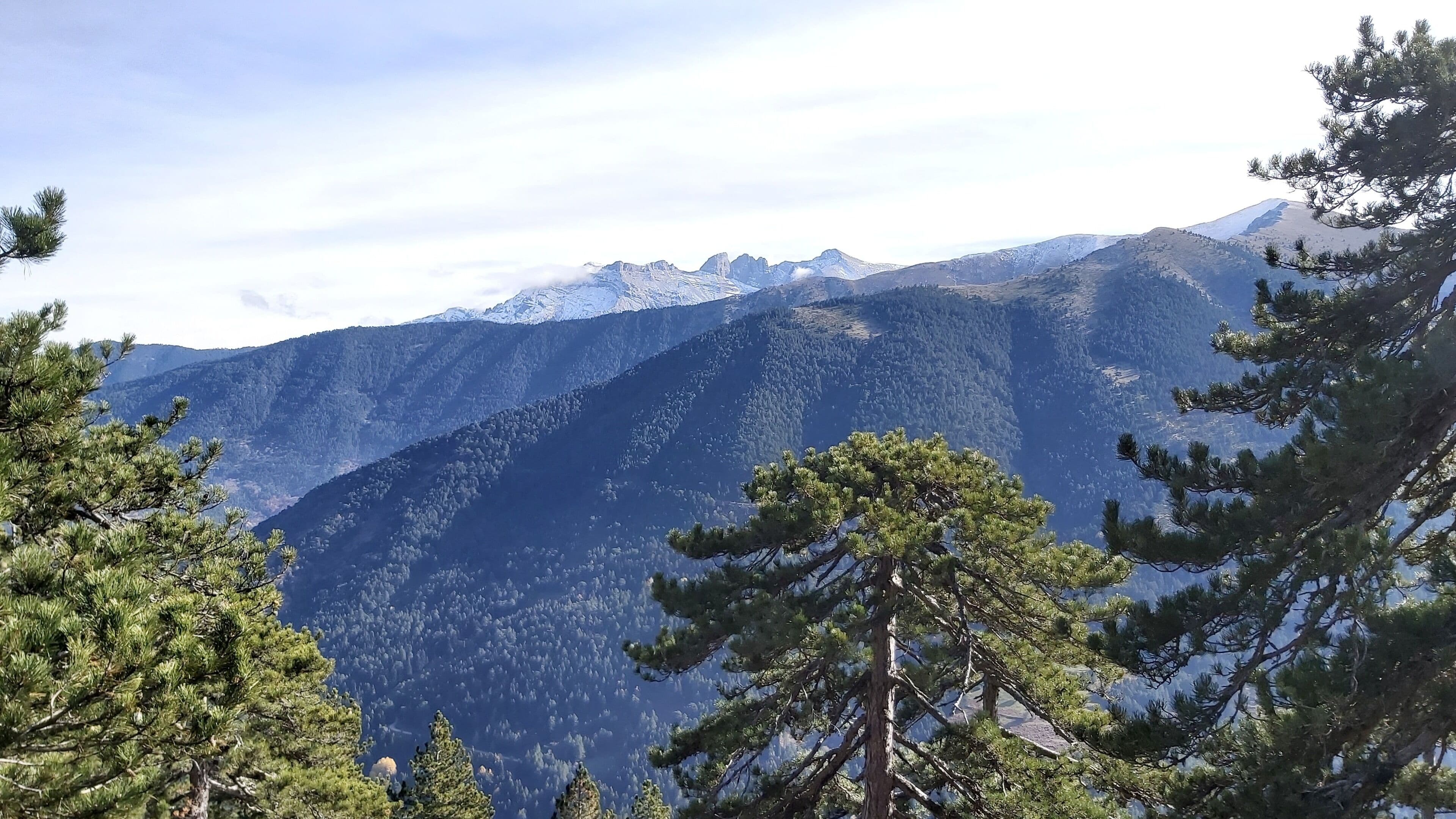 A mountainous landscape with dense forests and snow-capped peaks.