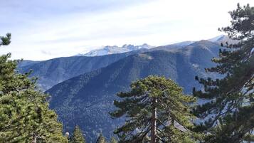 A mountainous landscape with dense forests and snow-capped peaks.