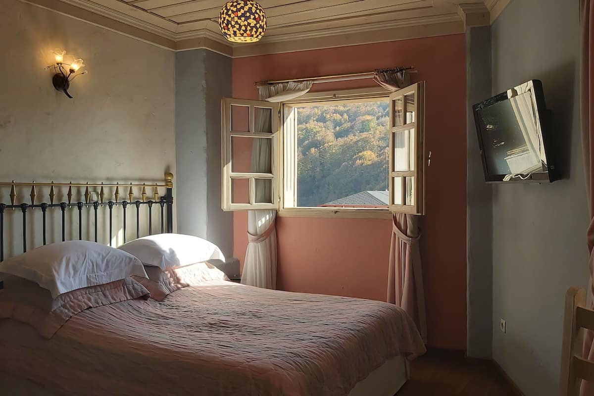 A bedroom with a bed, a window with a view of trees, a wall-mounted TV, and a ceiling light fixture.