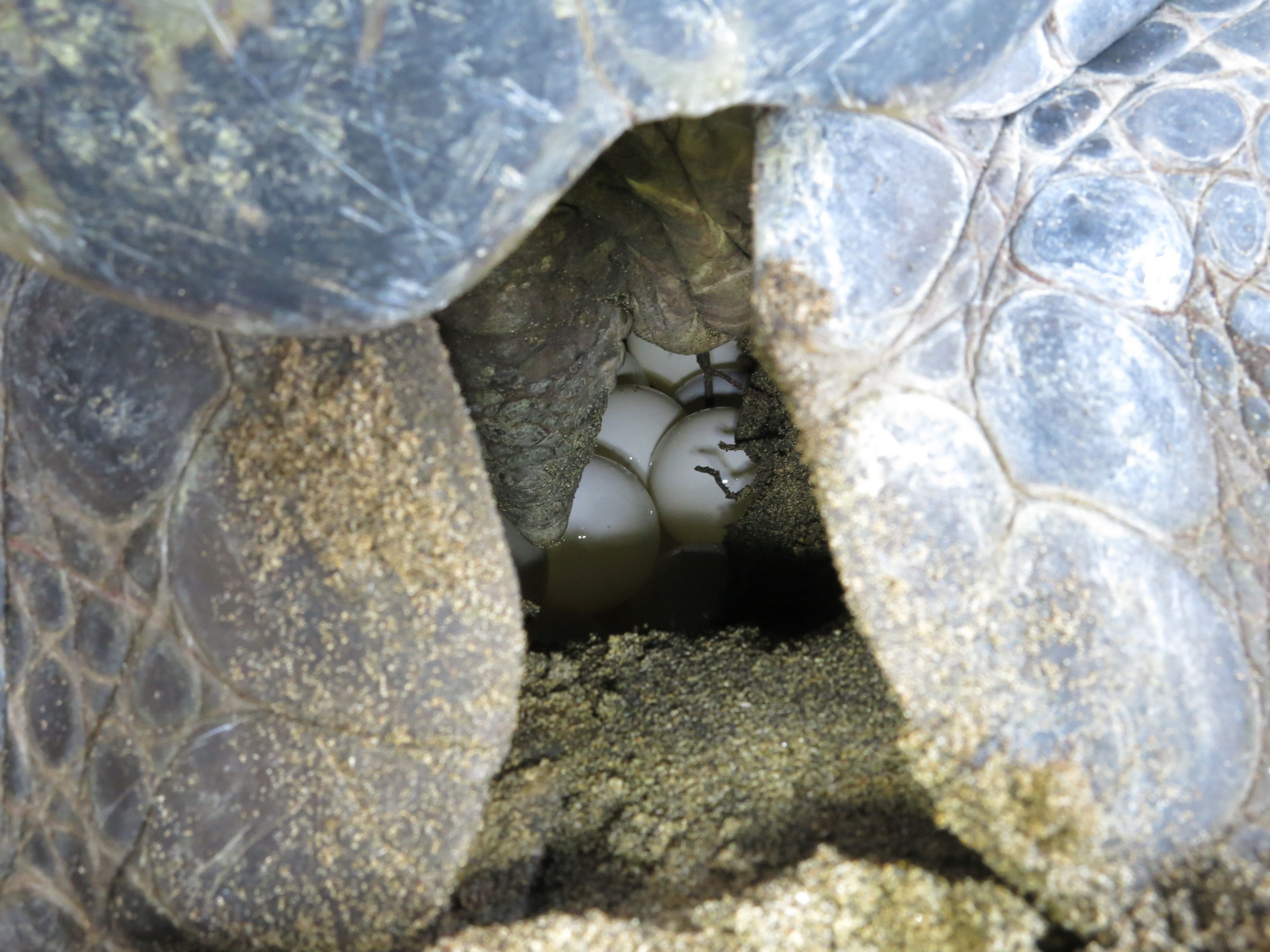 on the beach, scuba diving, snorkelling