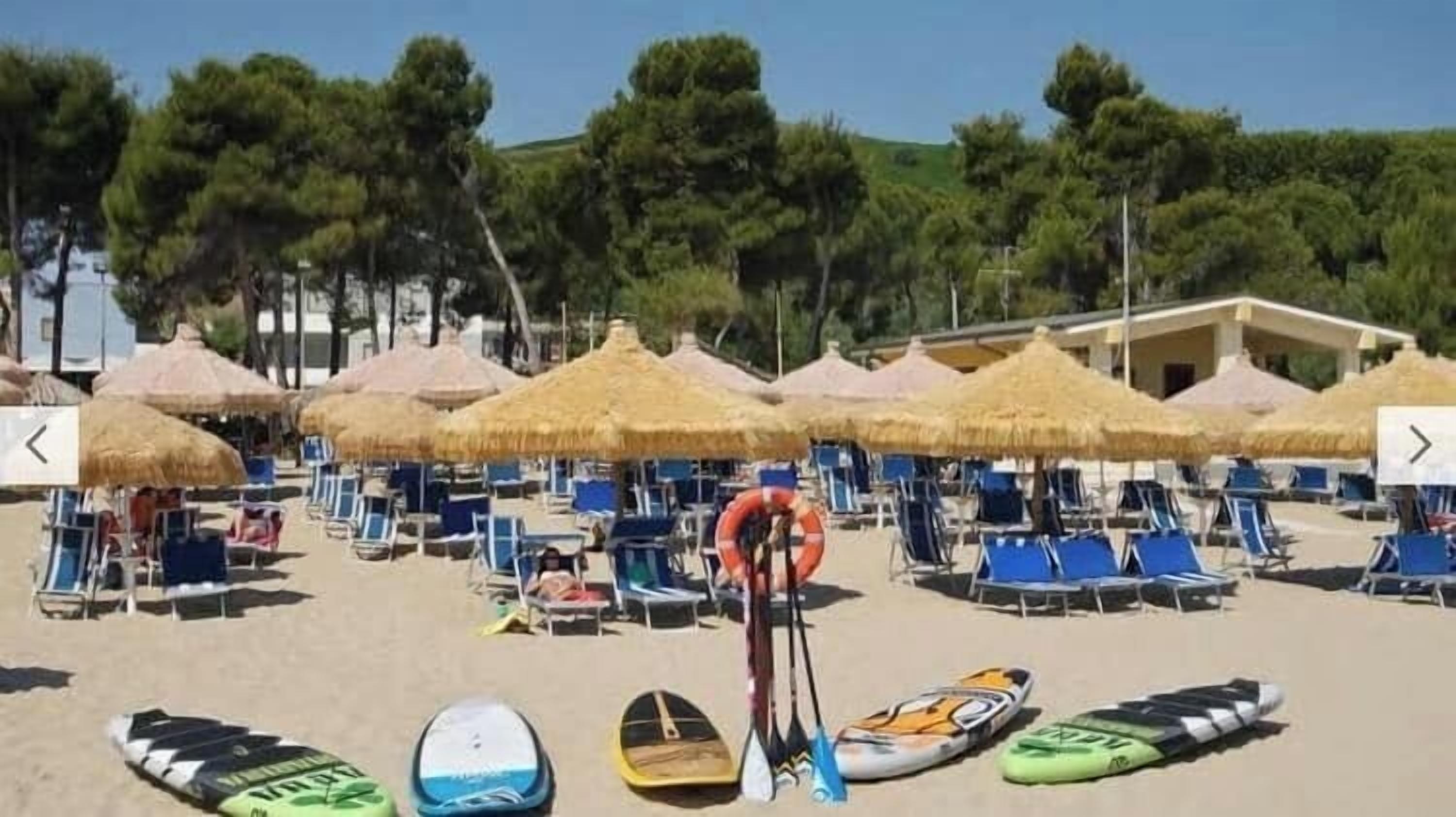 A beach with rows of sun loungers and thatched umbrellas.