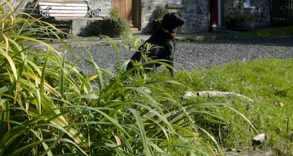 Bronfelin & Troed-y-rhiw Holiday Cottages