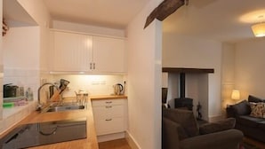 A compact living space with a kitchenette, a sofa, and a fireplace. - Bronfelin & Troed-y-rhiw Holiday Cottages (Llanwrtyd Wells)