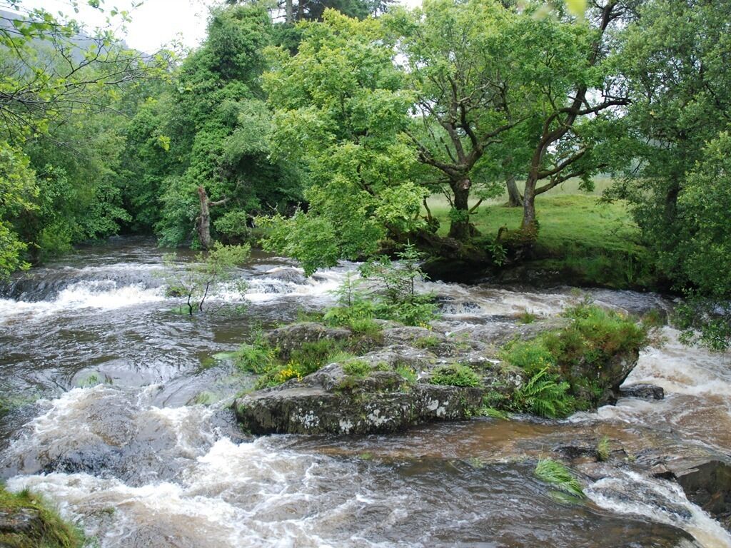 A river flowing through a forested area with rocks and trees.