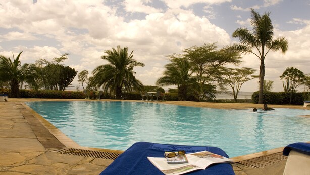A poolside area with lounge chairs, a pool, and palm trees. - Jacaranda Lake Elementaita Lodge (Gilgil)
