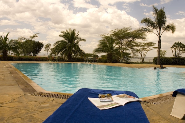 Outdoor pool, pool loungers