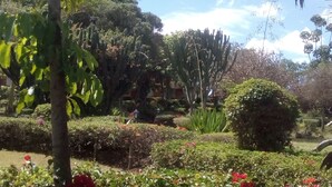 A garden with various plants and trees, including a palm tree and red flowers. - Jacaranda Lake Elementaita Lodge (Gilgil)