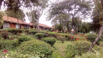 Jardim