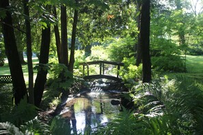 Khuôn viên nơi lưu trú