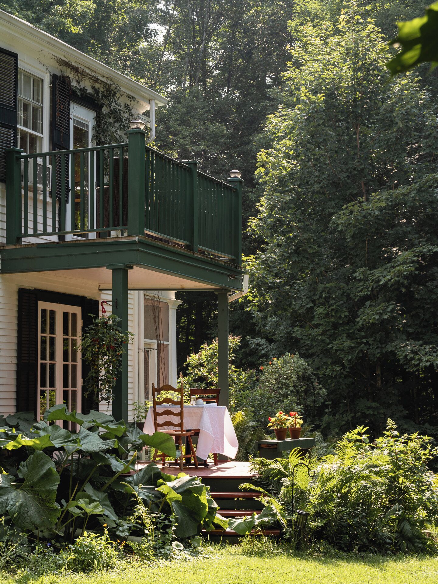 テラス / パティオ