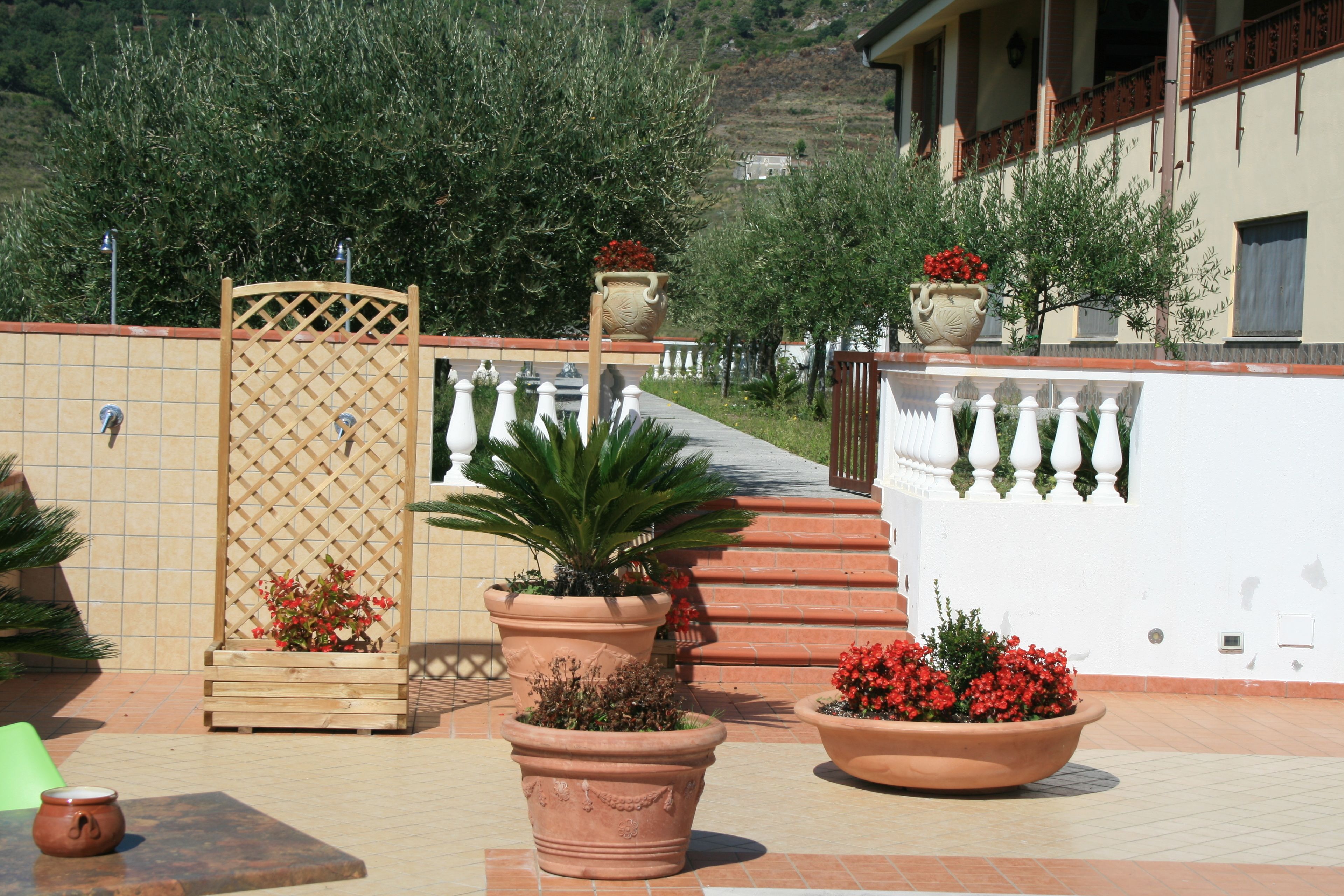 outdoor pool, pool loungers