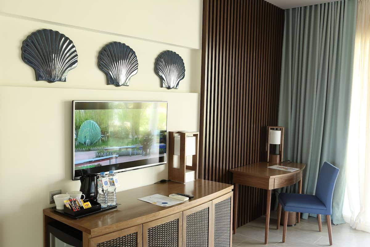 A hotel room with a TV, a wooden desk, a chair, and decorative shells on the wall.