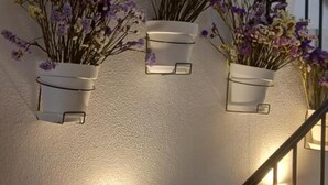 A staircase with wall-mounted planters containing flowers. - Hotel São Miguel (Ponta Delgada)
