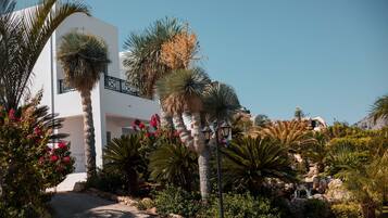 A modern white building with a pathway leading to a pool area, surrounded by palm trees and various plants.