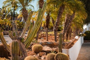 Garden - Lambis Studios & Apartments (Rhodes)