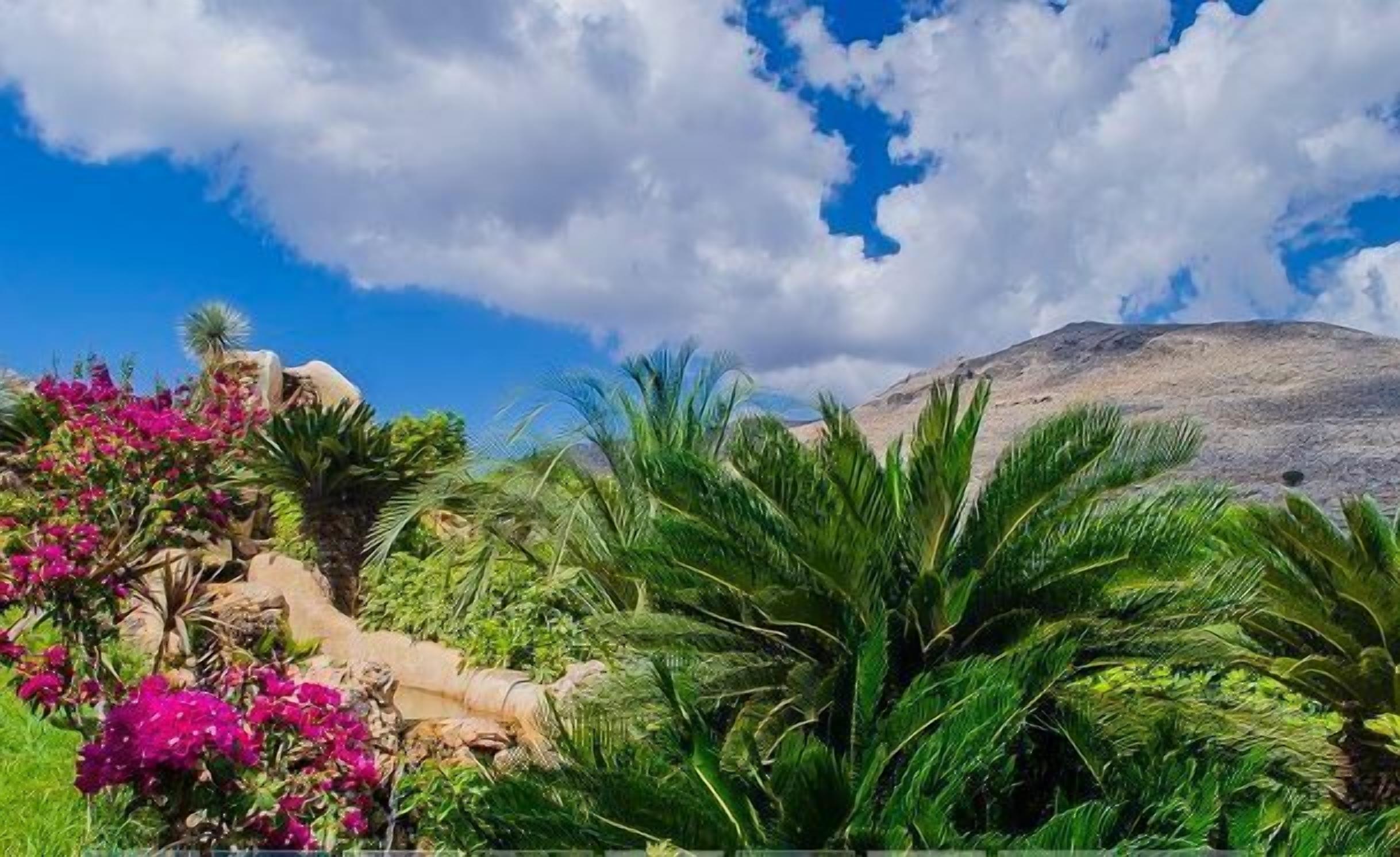 A garden with various plants and flowers, a rocky terrain, and a mountain in the background.