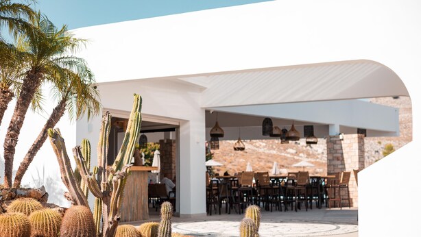 An outdoor dining area with cacti and palm trees, a covered patio, and a stone wall in the background. - Lambis Studios & Apartments (Rhodes)