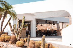 Un área de comedor al aire libre con cactus y palmeras, un porche cubierto y un muro de piedra al fondo.