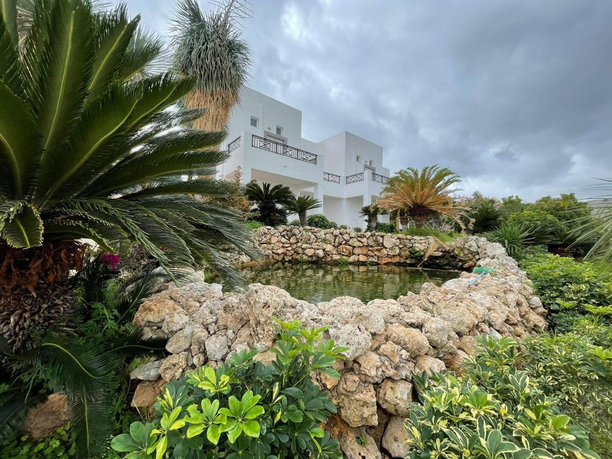 Ein angelegter Garten mit Teich, umgeben von Steinen und verschiedenen tropischen Pflanzen. Im Hintergrund ein weißes Gebäude mit Balkonen.