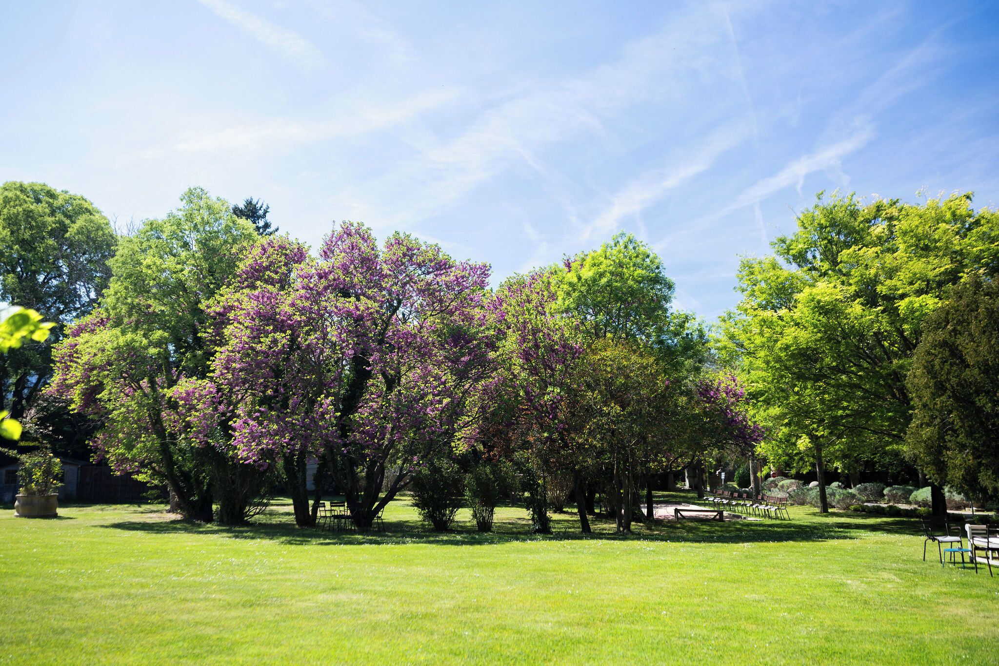 Ein Park mit Bäumen, Rasen und Bänken.