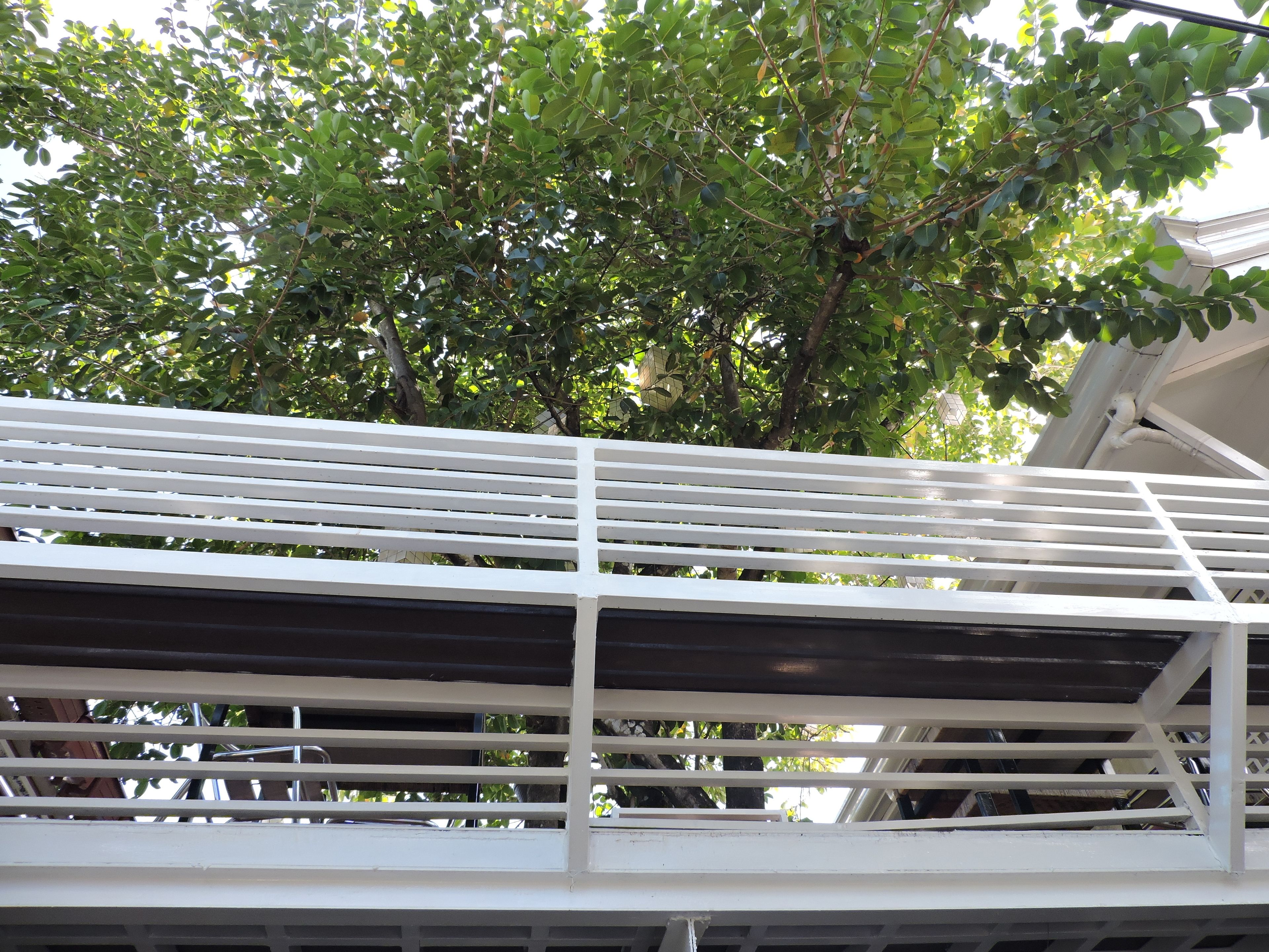 Photo - Orange Mangrove Pension House by SMS Hospitality