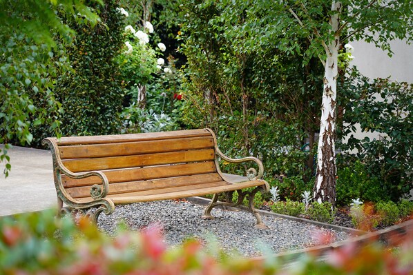 A wooden bench in a garden with gravel path and greenery.