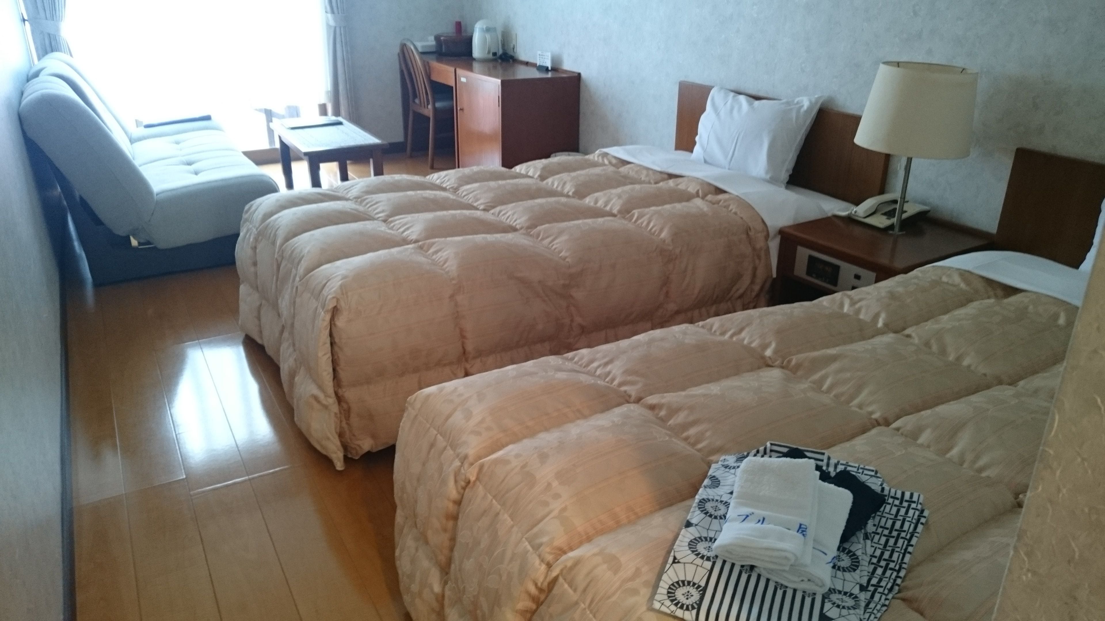 twin room, ocean view | free wifi