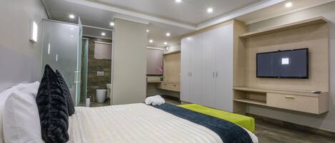 A modern bedroom with a bed, a TV mounted on the wall, and a walk-in closet.