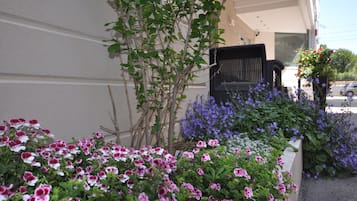 Jardín