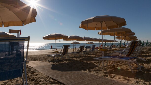 Ein Strand mit Reihen von Sonnenschirmen und Liegestühlen.