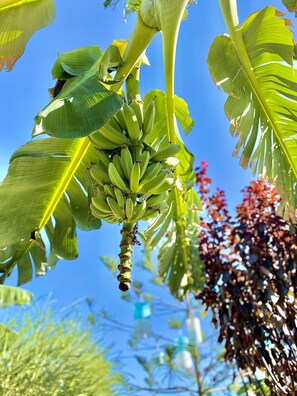 Exterior - Kayezta Hotel Alacati (Cesme)