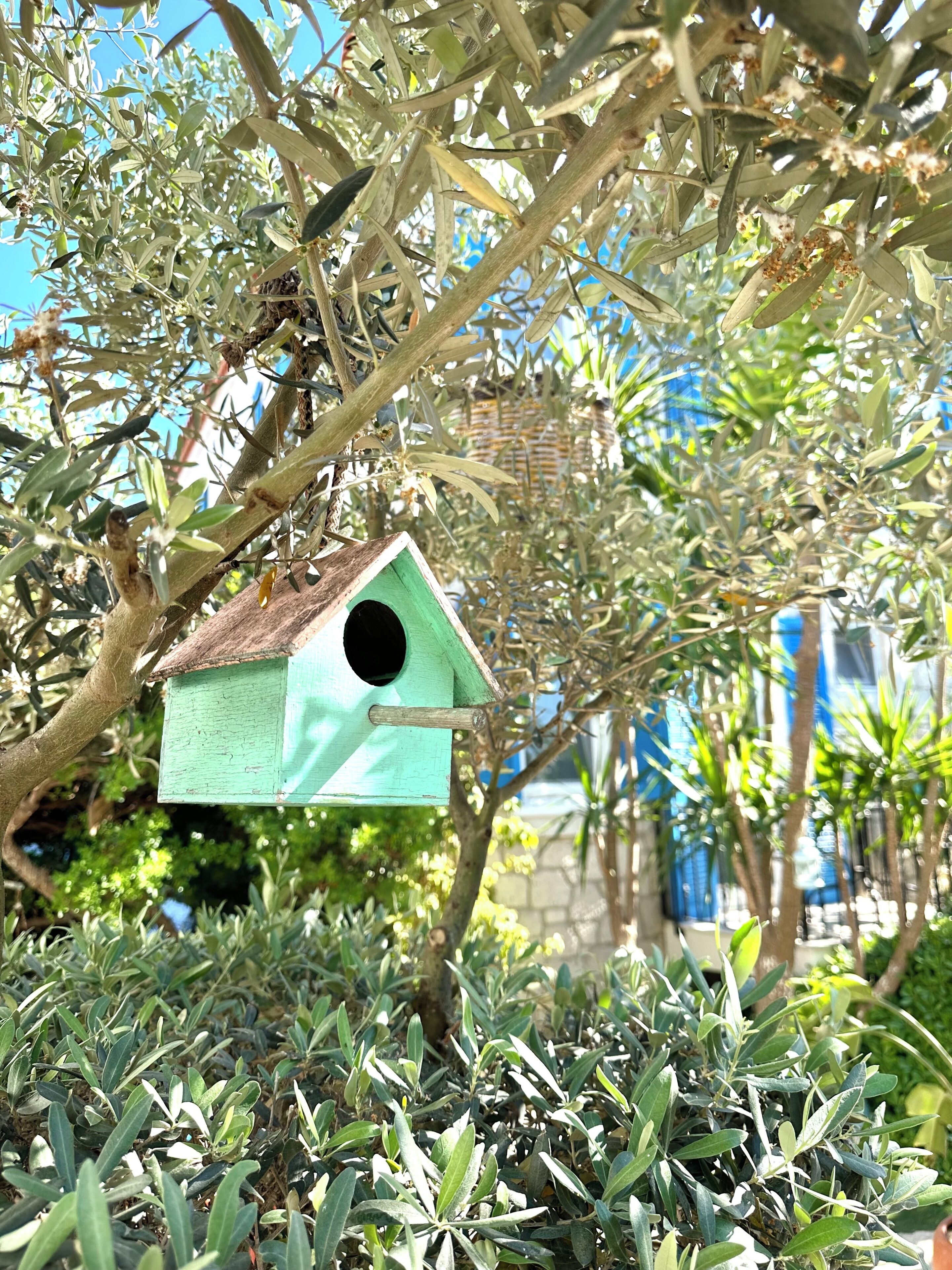 A birdhouse hanging from a tree.