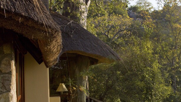A wooden deck with a curved railing, a thatched-roof building, and a bench. - Sango Wildlife Lodge (Save Valley Conservancy)