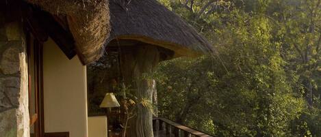 Cottage (Baobab Cottage) | Terrasse/Patio