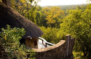 Cottage (Suni Cottage) | Bathroom shower - Sango Wildlife Lodge (Save Valley Conservancy)