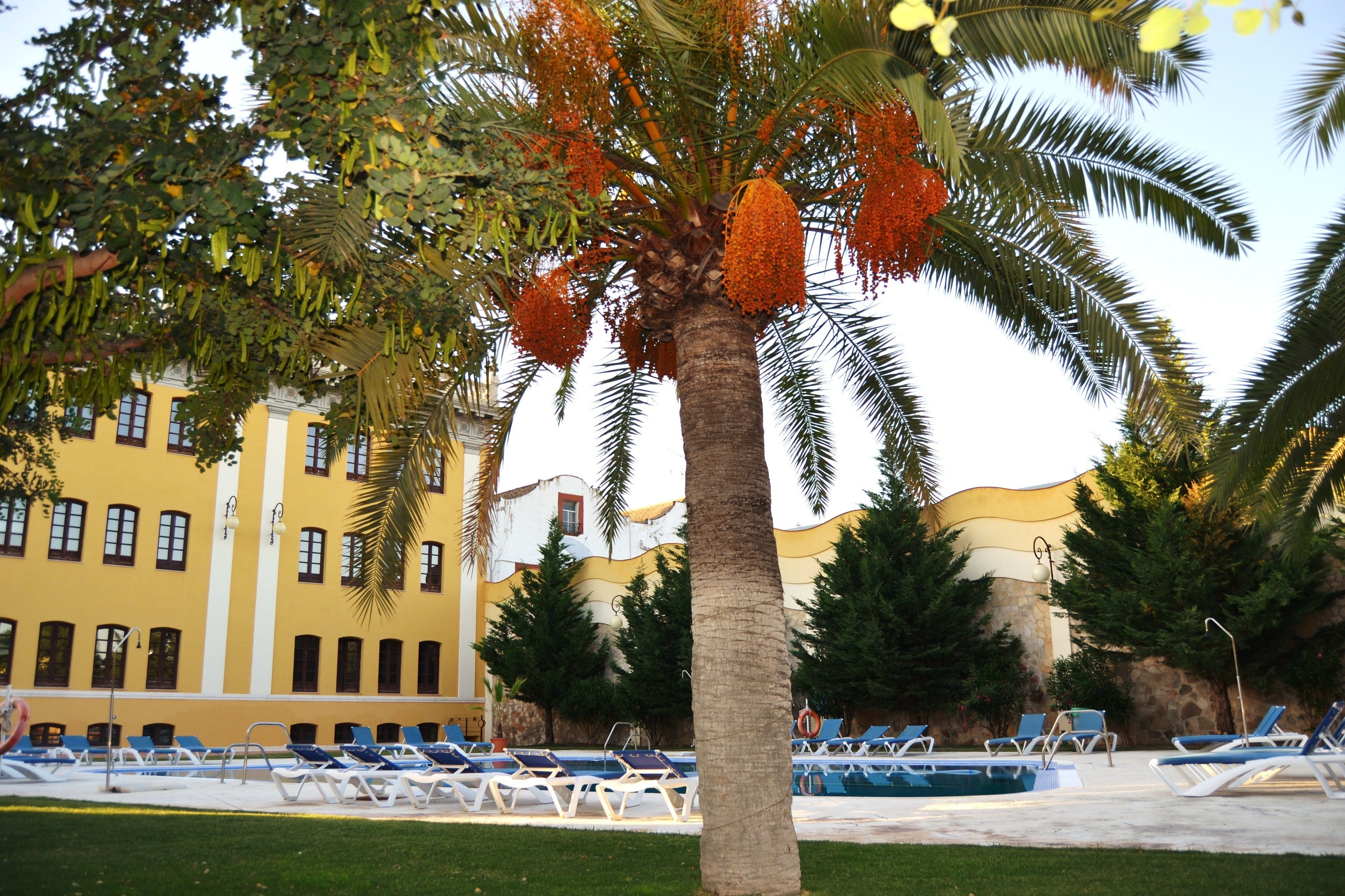 Piscine extérieure (ouverte en saison), parasols de plage