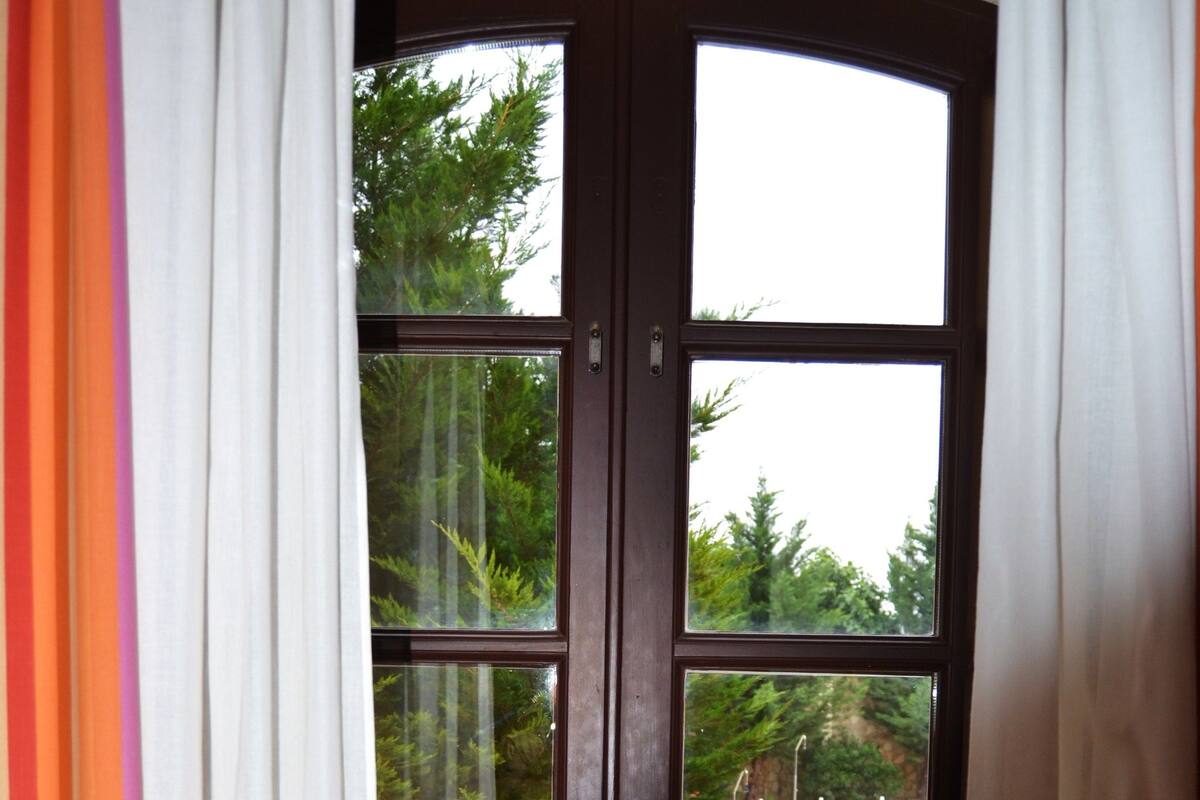 A dark wooden door with a glass panel, white curtains, and a view of a swimming pool and greenery outside.