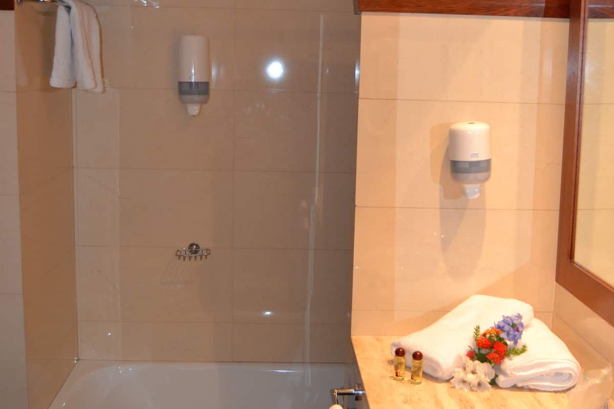 free toiletries, hair dryer, towels