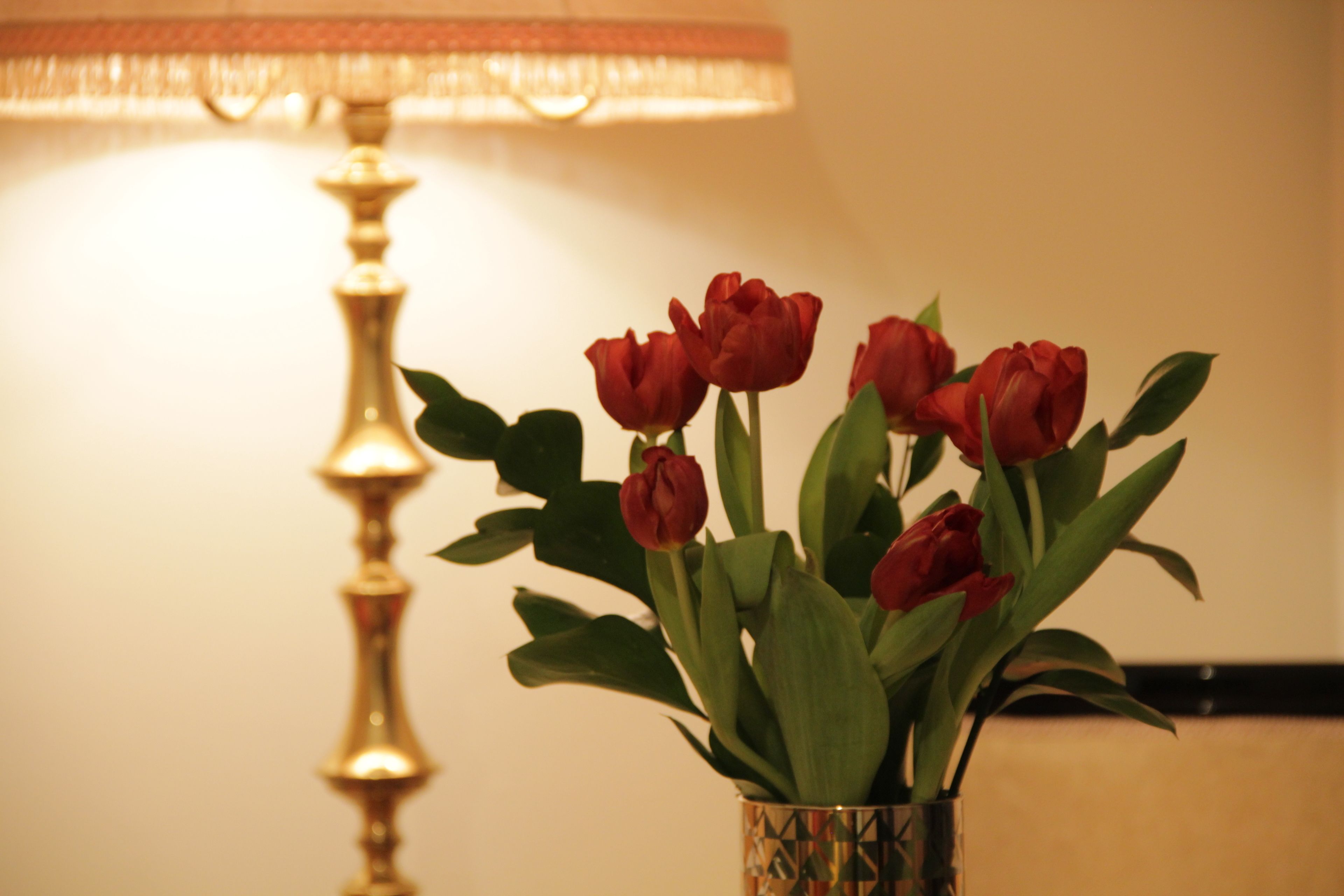 A vase with red flowers and a lamp in the background.