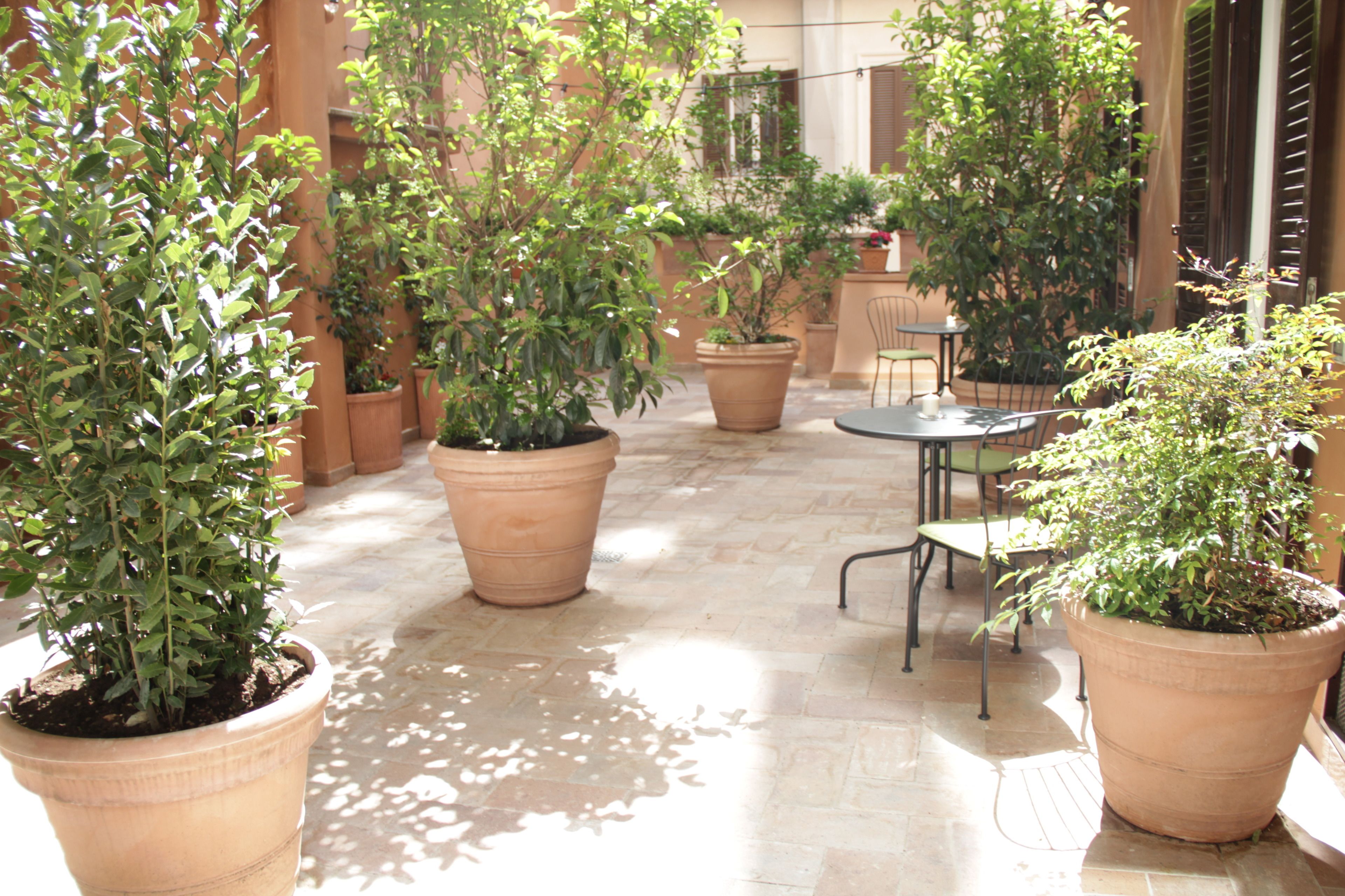 Deluxe Double Room, Terrace | View from room