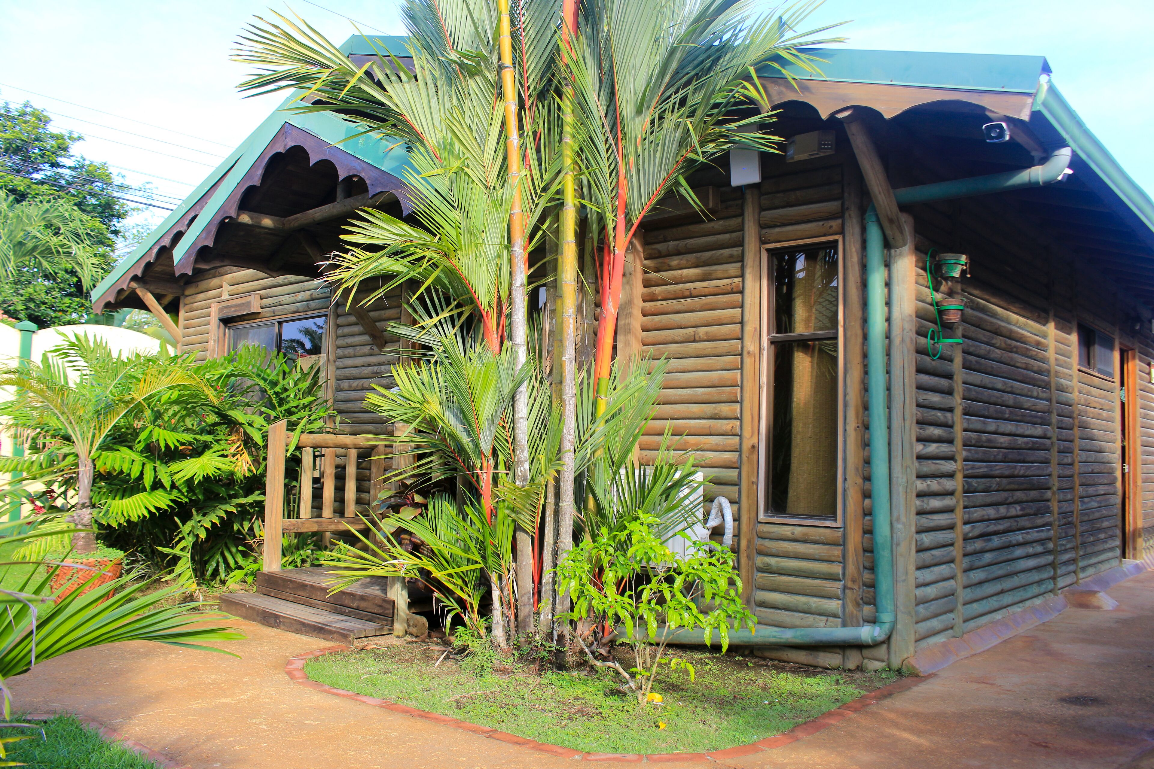A log cabin with a porch, surrounded by tropical vegetation.
