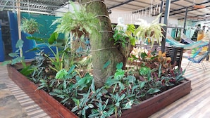 A wooden planter box with various plants and a tree trunk, surrounded by a tiled floor. - Hotel Tucan (Bahía Ballena)