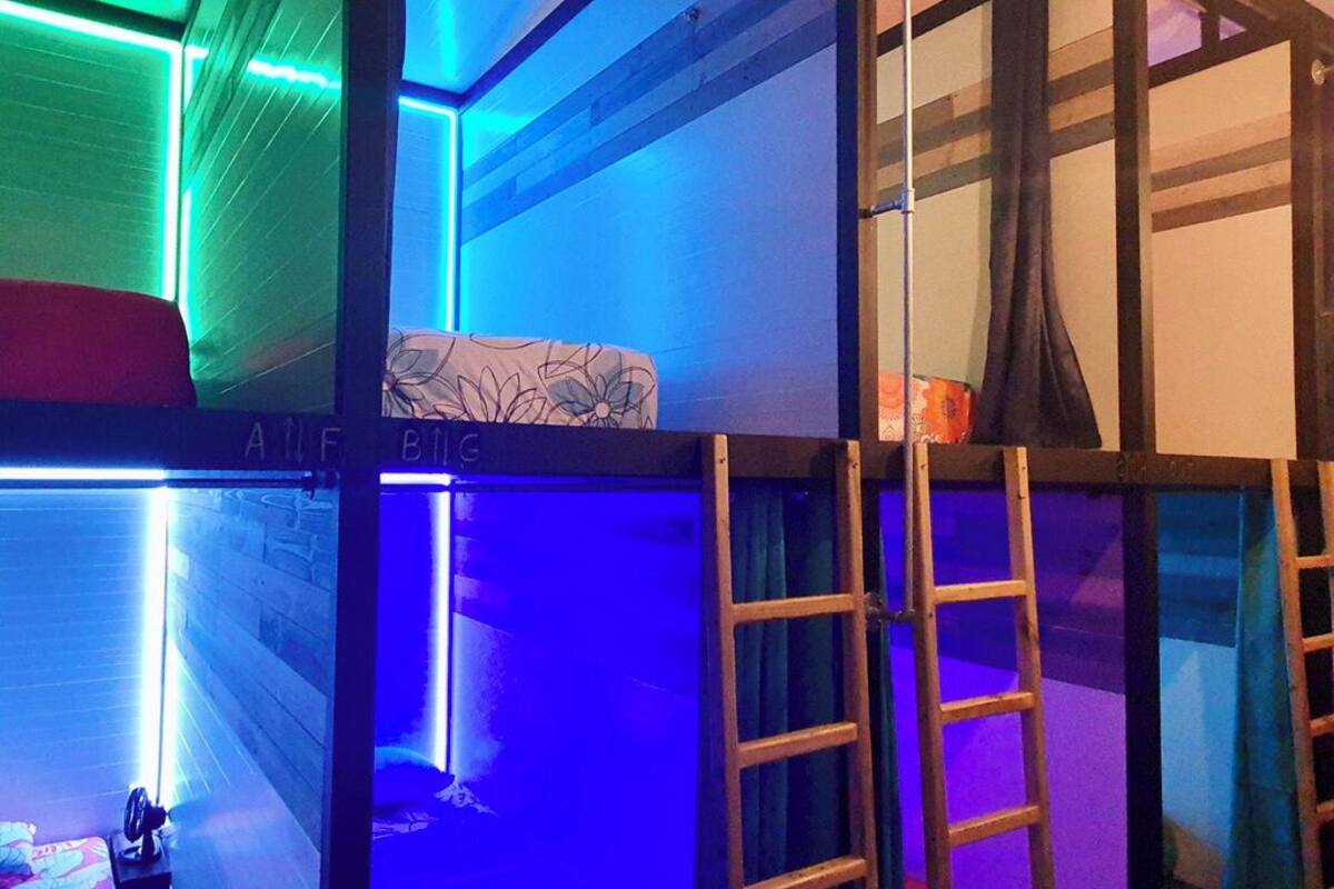 A room with a bunk bed, a ladder, and a bed with a floral-patterned blanket.