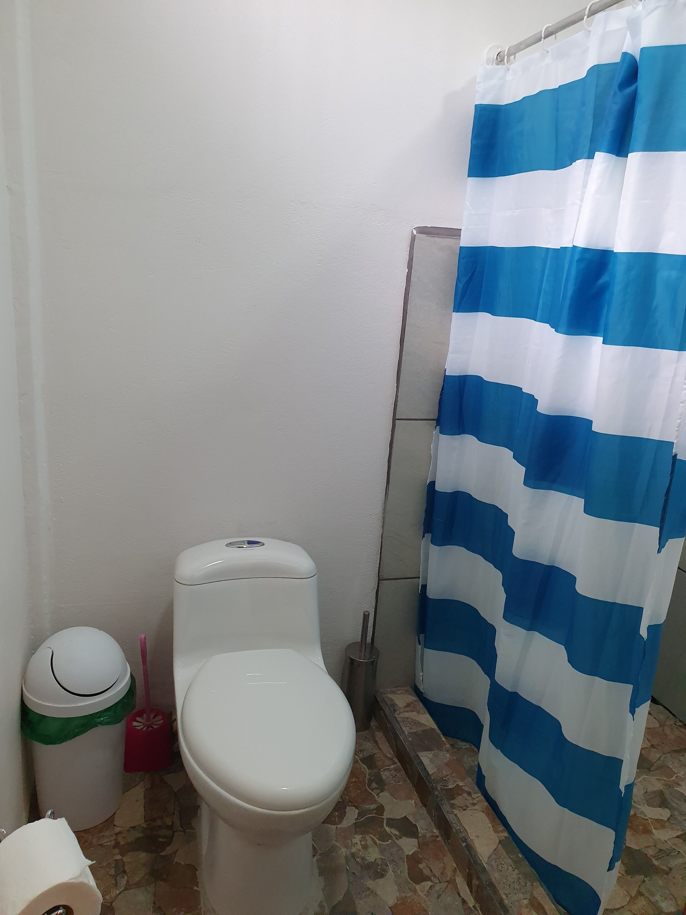 Kylpyhuone, jossa on wc, roskakori ja suihkuverho.