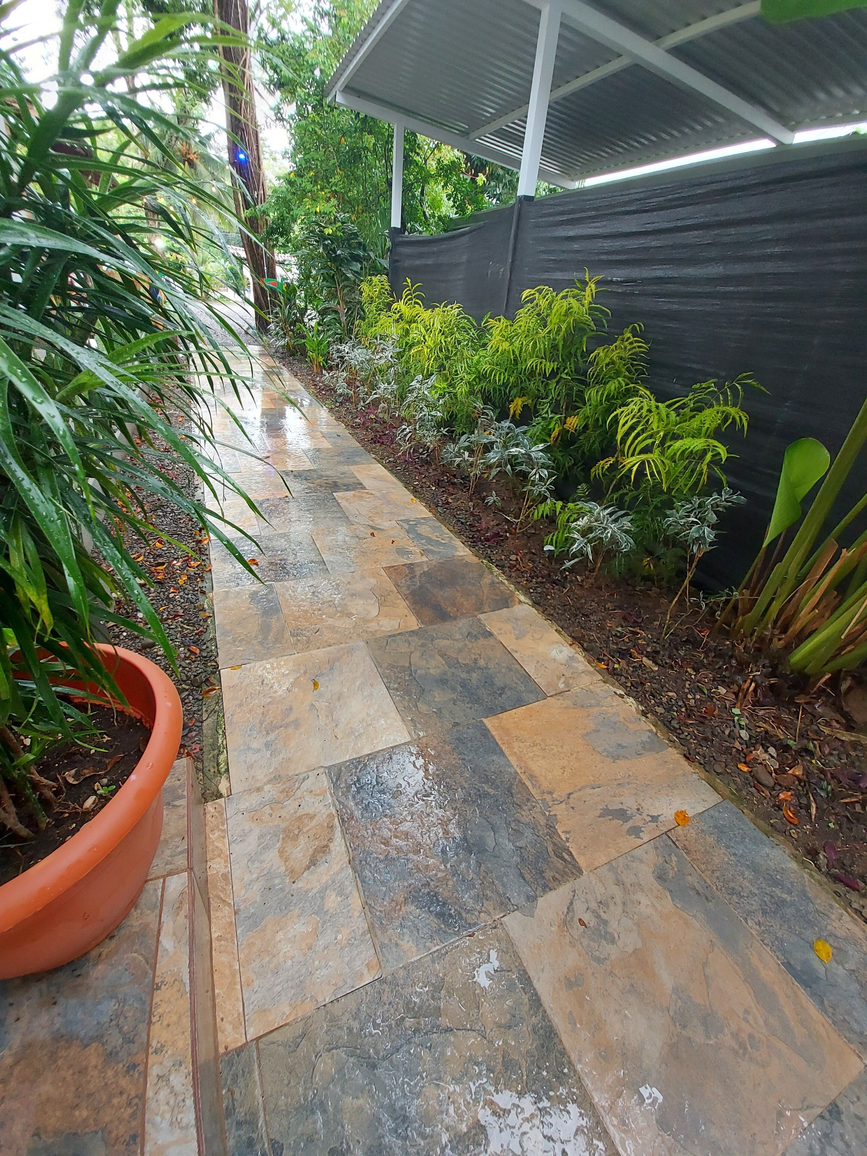 A pathway with stone tiles, surrounded by various plants and a black fence.