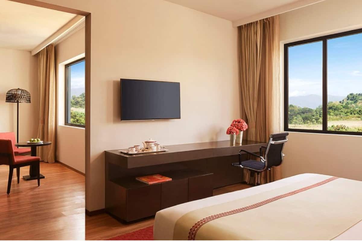 A modern hotel room with a large bed, a desk with a flat-screen TV, a chair, and a view of greenery outside.