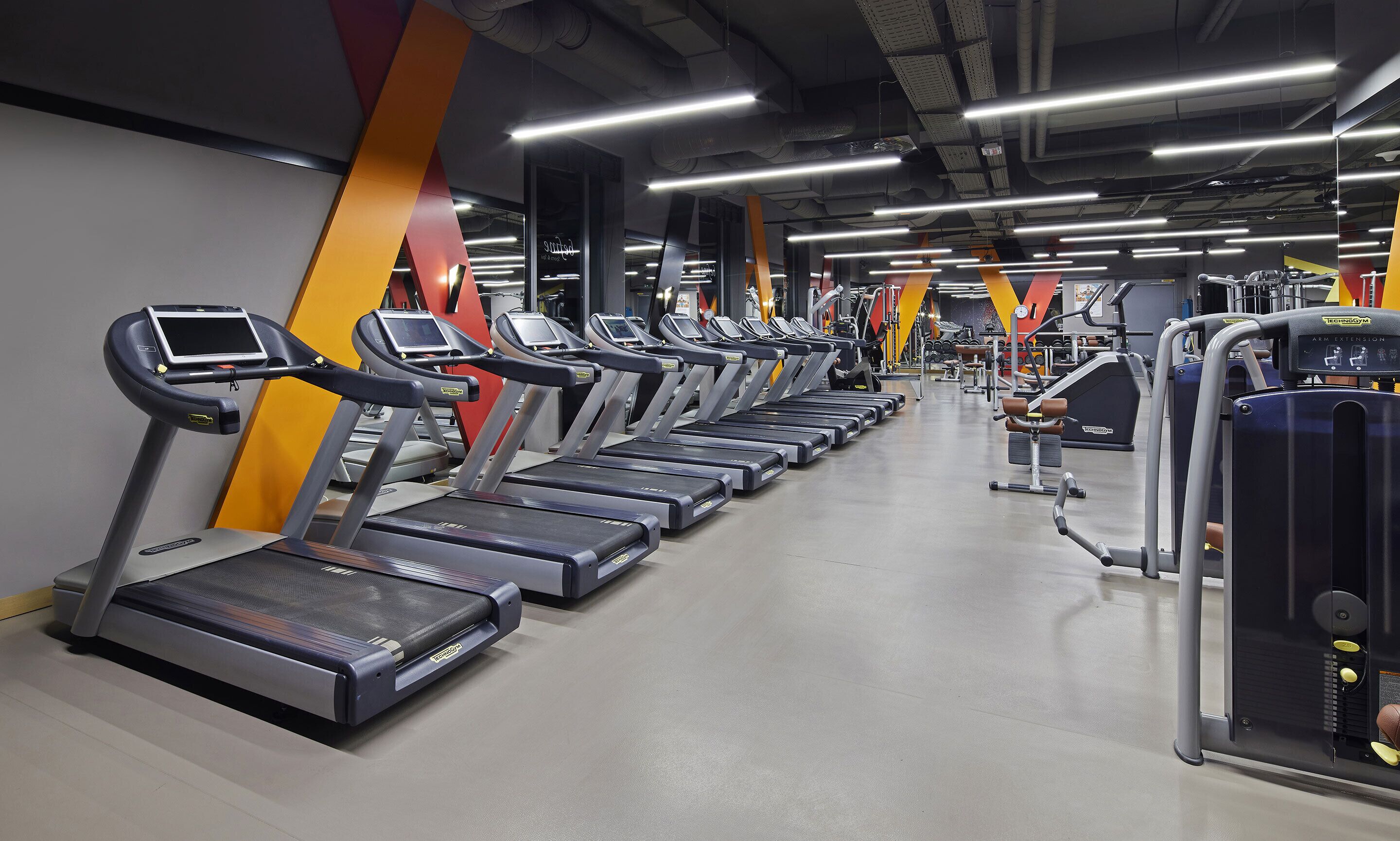 Eine Reihe von Laufbändern in einem Fitnessstudio mit verschiedenen Trainingsgeräten und einem klaren, modernen Design.