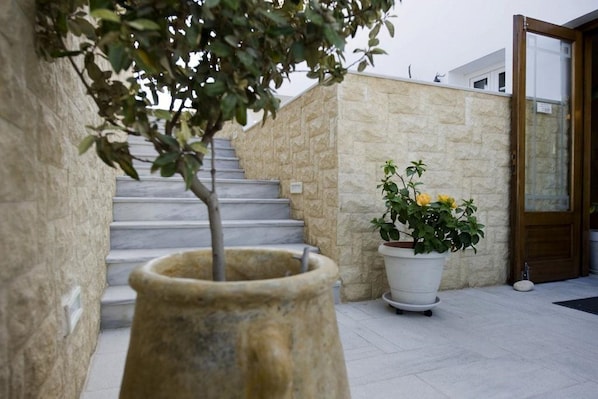 A stone wall, a potted plant, and a staircase.