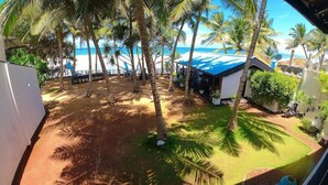 A view of a beachside property with palm trees, a covered outdoor seating area, and a view of the ocean. - Dalawella Beach Resort (Unawatuna)